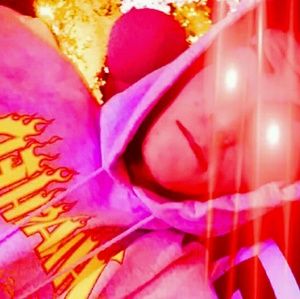 Meet your Posher, Riley